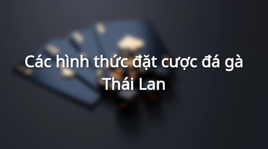 Các hình thức đá gà Thái Lan được vận hành