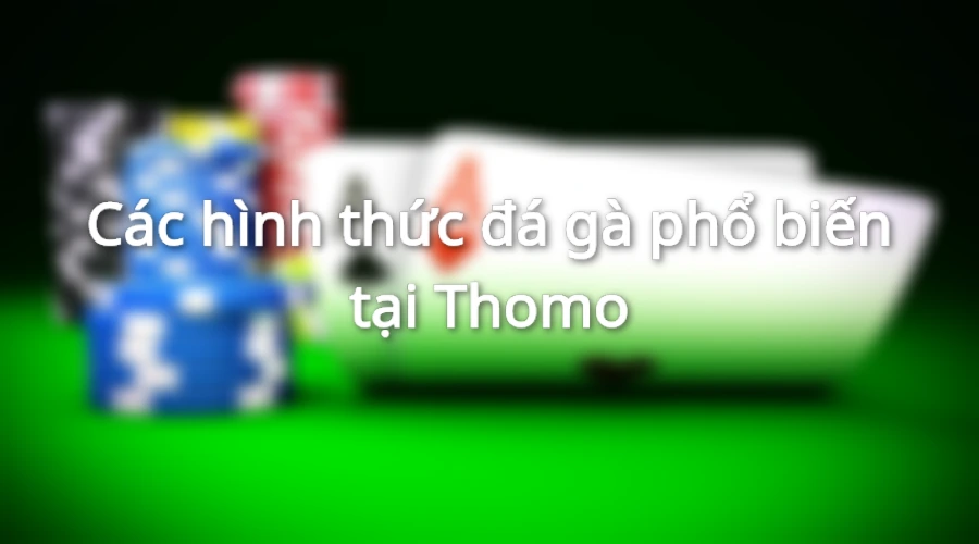 Các hình thức chọi gà thường được tổ chức tại Thomo hiện nay