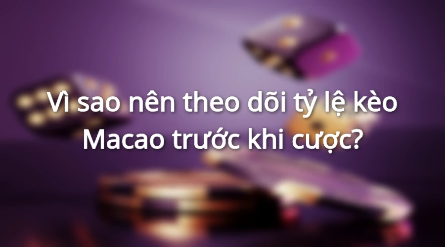 Người chơi theo dõi tỉ lệ kèo macao trước khi đặt cược để gia tăng khả năng chiến thắng