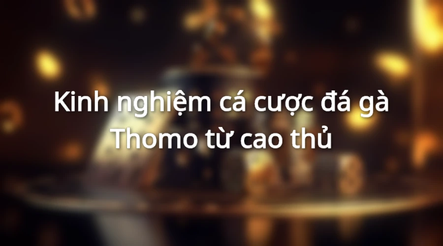 Kinh nghiệm chơi đá gà thomo từ các kê thủ