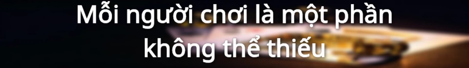 Chương trình hội viên vip tri ân khách hàng